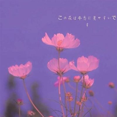 开云体云app手机app下载