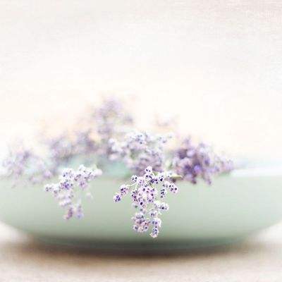 老皇冠登录入口welcome