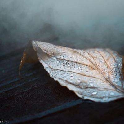 今天买什么特马